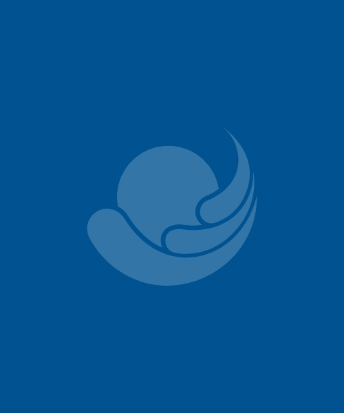 Piscina Veneza Redonda