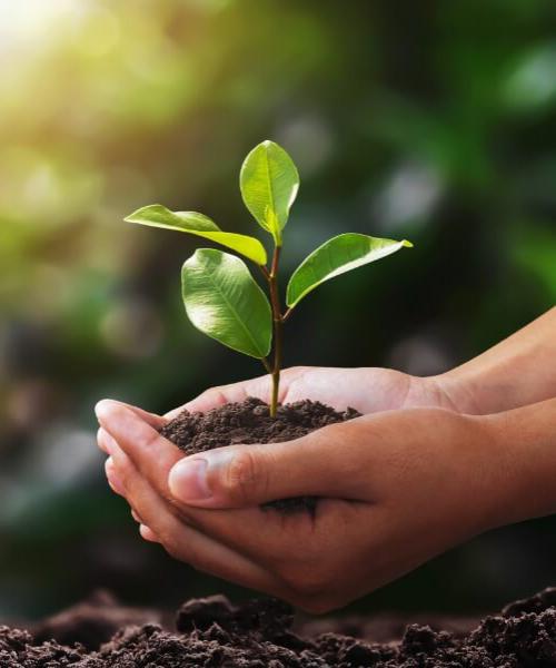 Licenciamento Ambiental