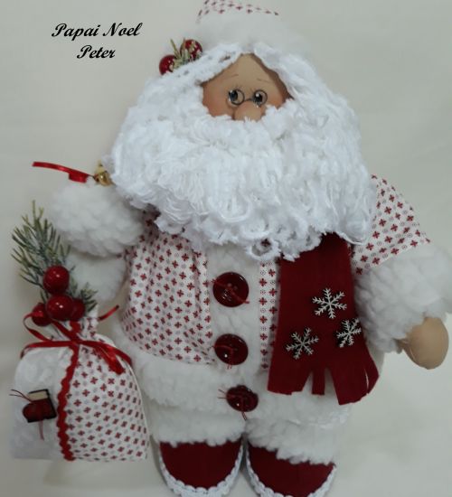 Projeto Noel Peter