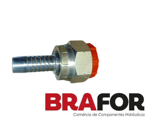 TERMINAL FEMEA CURVA