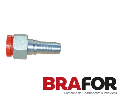 TERMINAL FEMEA CURVA