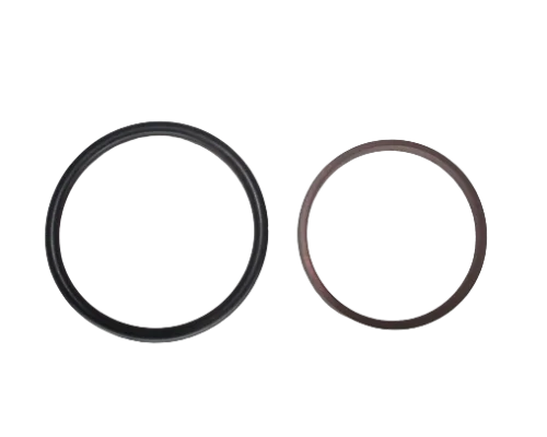 Anel Turcon Stepseal