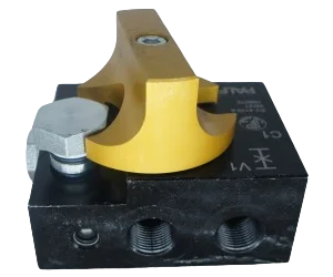 Válvula de Retenção Sapata