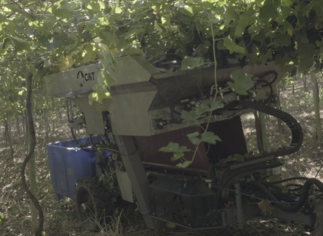 Colheitadeira para Uva