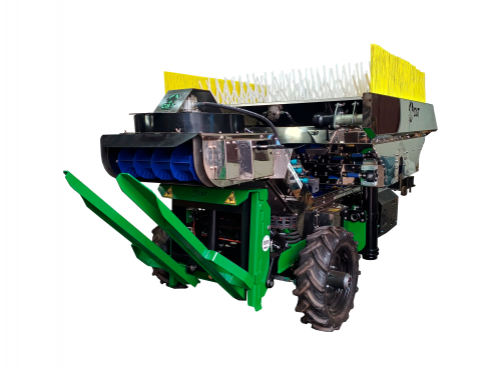 Colheitadeira para Uva