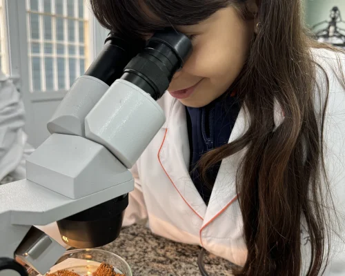 Laboratório de Ciências