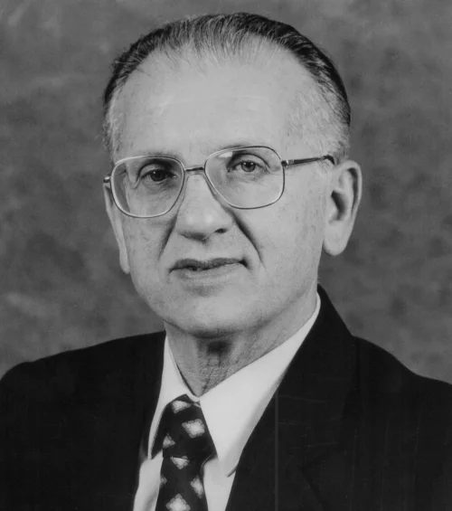 Ruy José Scomazzon