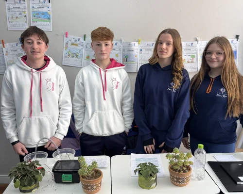 Alunos do 9º ano apresentam projetos com Micro:bit