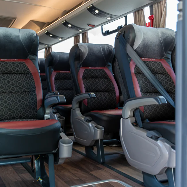 MARCOPOLO VIAGGIO G8 800