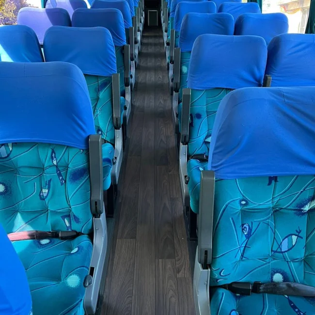 MARCOPOLO IDEALE 770