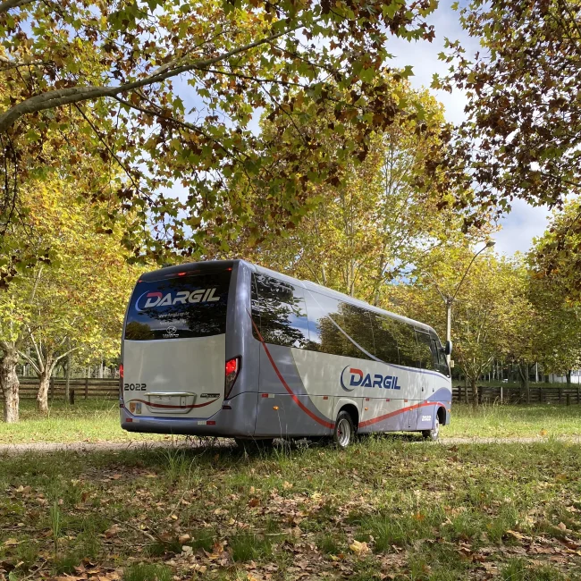 MARCOPOLO VOLARE DW9