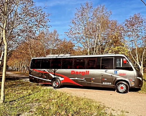 MARCOPOLO VOLARE FLY 10