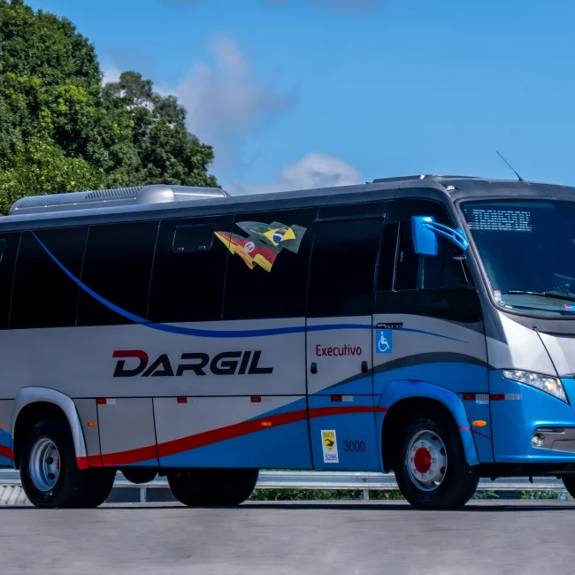 MARCOPOLO VOLARE FLY 10