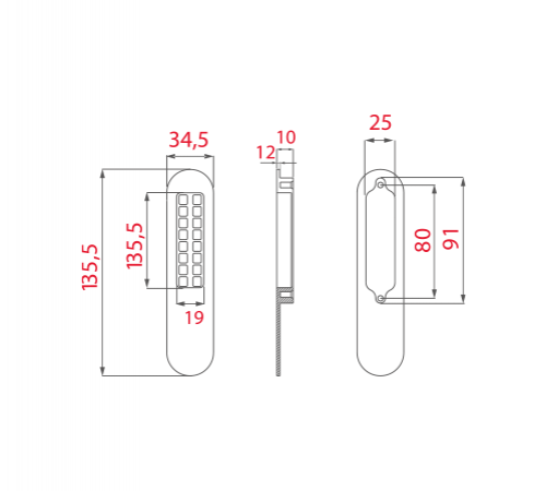 Concha Porta Elevadora