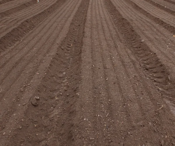 ENXADA ROTATIVA COM ENCANTEIRADOR ALGOR