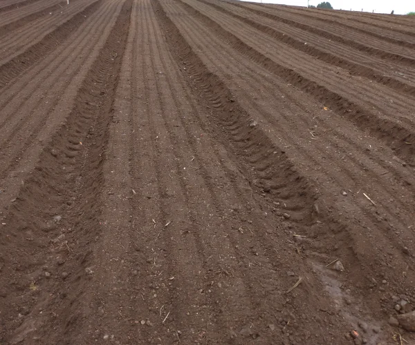 ENXADA ROTATIVA COM ENCANT. E ADUBADEIRA ALGOR