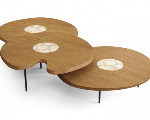 Mesa de Centro Ninféia