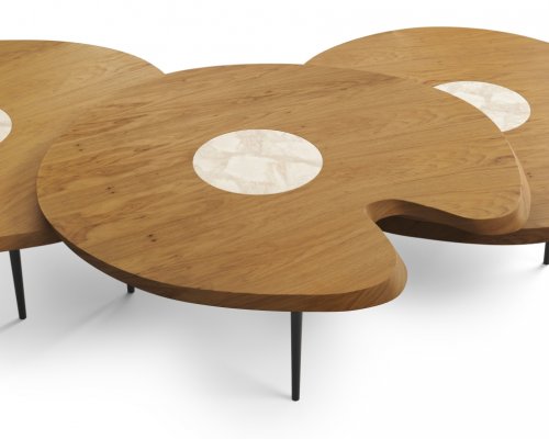 Mesa de Centro Ninféia