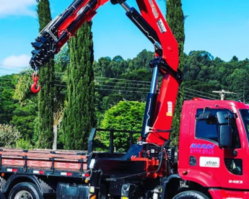 Assistência Técnica TKA Guindastes