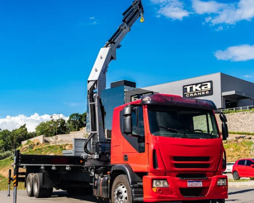Assistência Técnica TKA Guindastes