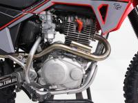 Foco Pulse - CRF 230