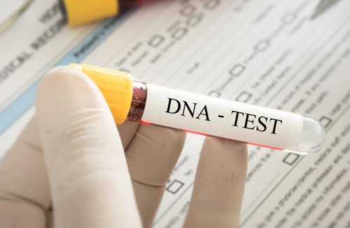 Teste de DNA: para que serve e como é feito?