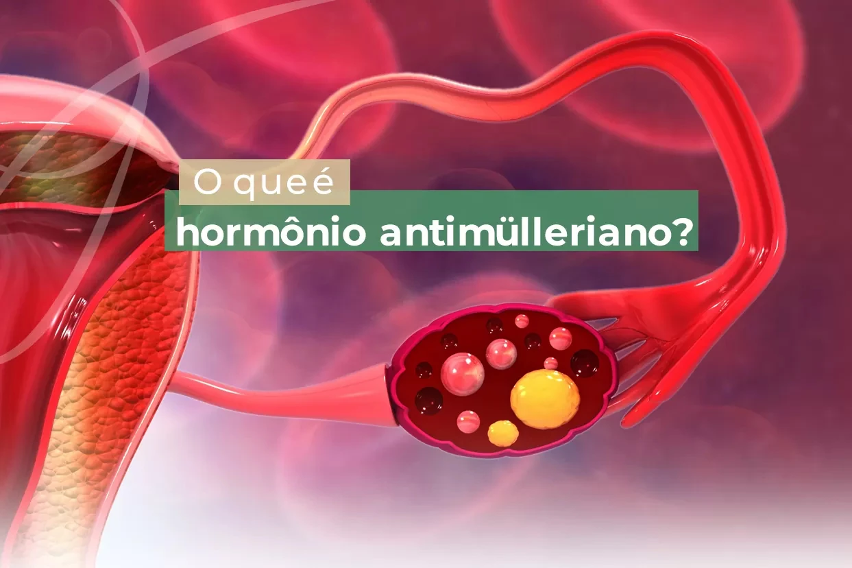 Hormônio Anti-Mülleriano, você sabe o que é?