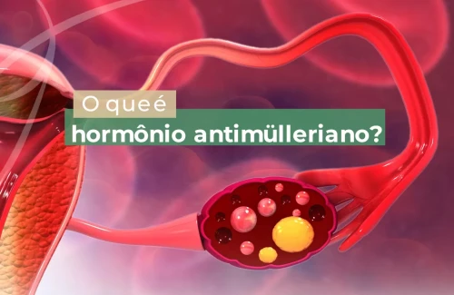 Hormônio Anti-Mülleriano, você sabe o que é?