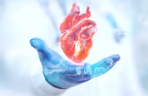 Cardiogenética:  o futuro do seu coração