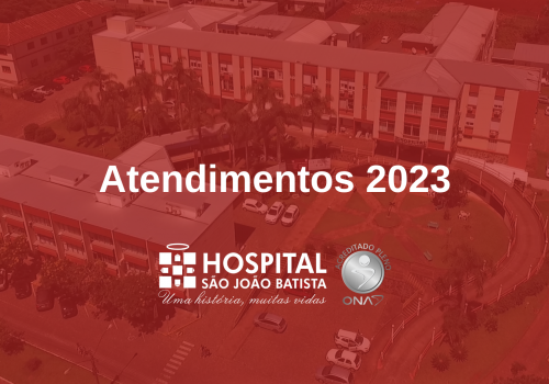 Os números dos atendimentos  em 2023