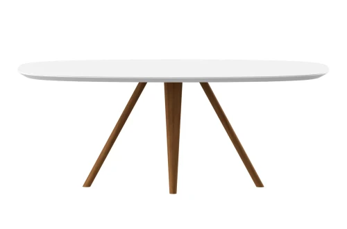 Mesa Lizzie