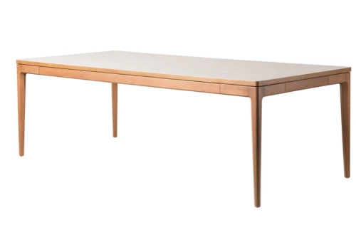 Mesa Brendon