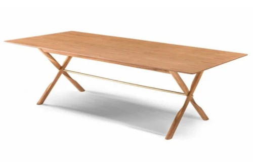Mesa X