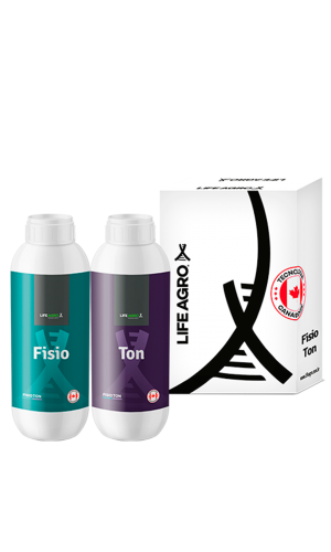 Fisio Ton