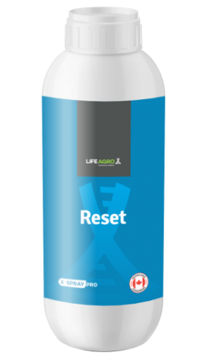 Reset