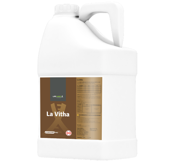 La Vitha 