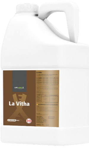 La Vitha