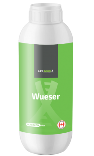 Wueser