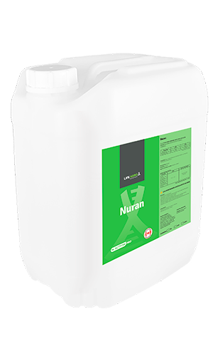 Nuran