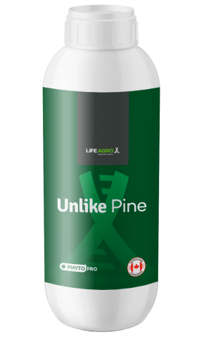 Unlike Pine