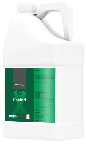 Conteri
