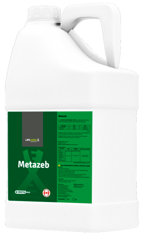 Metazeb