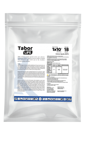 Tabor
