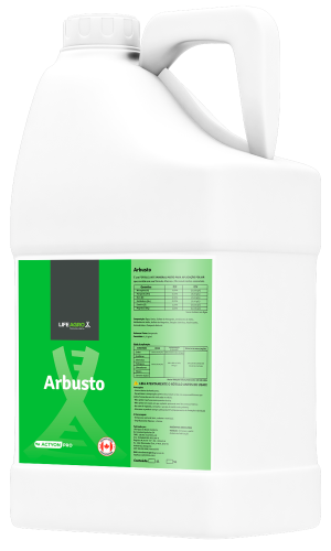 Arbusto