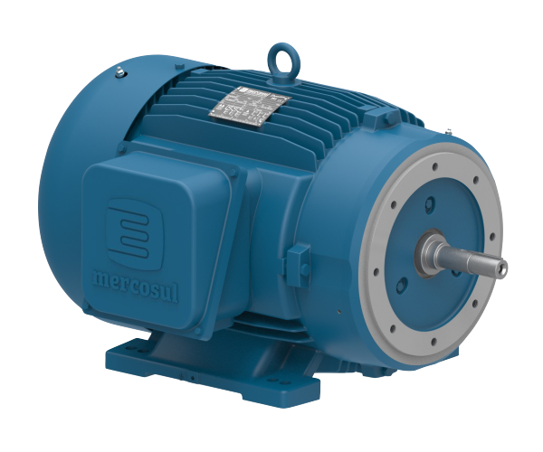 IR3 PREMIUM - IP55 - JM/JP/JET PUMP