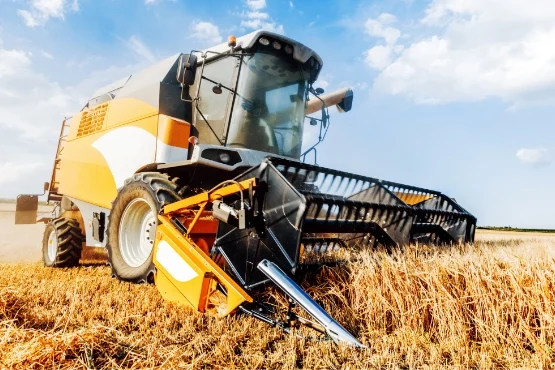 Agrícola e agropequário