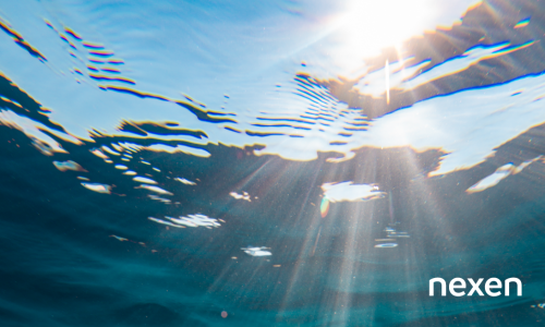 Dia internacional da água