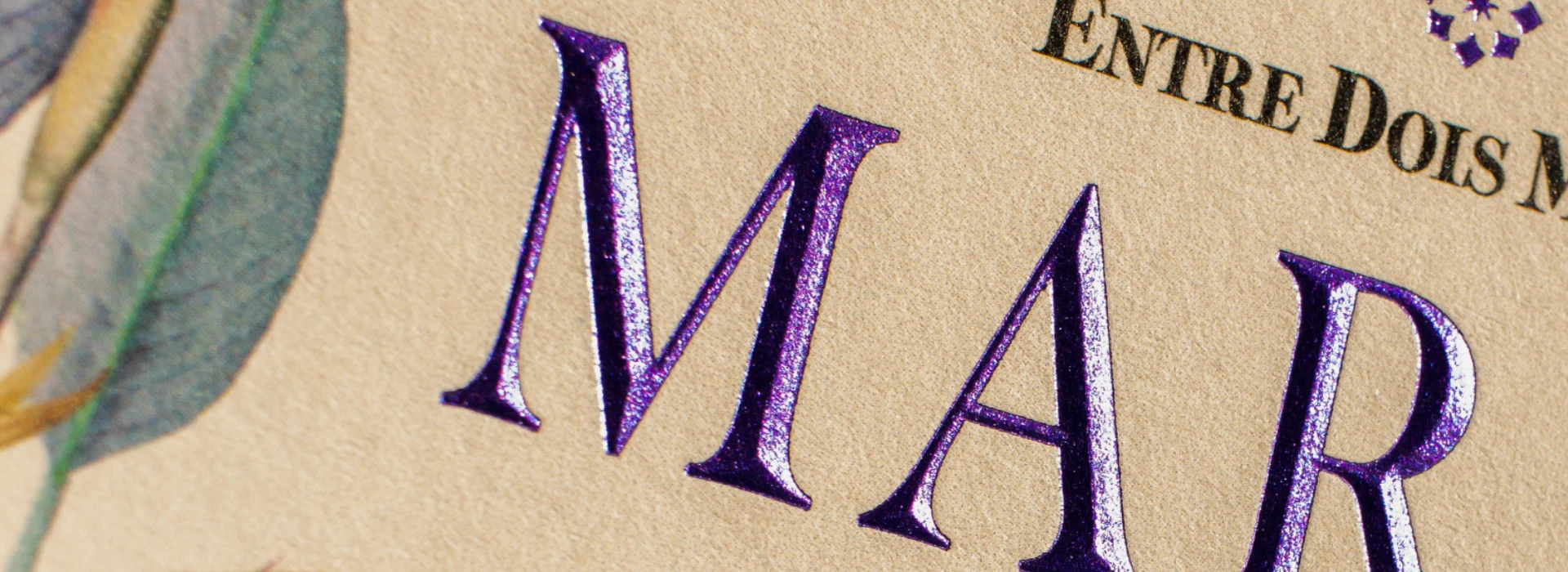 Banner 02
