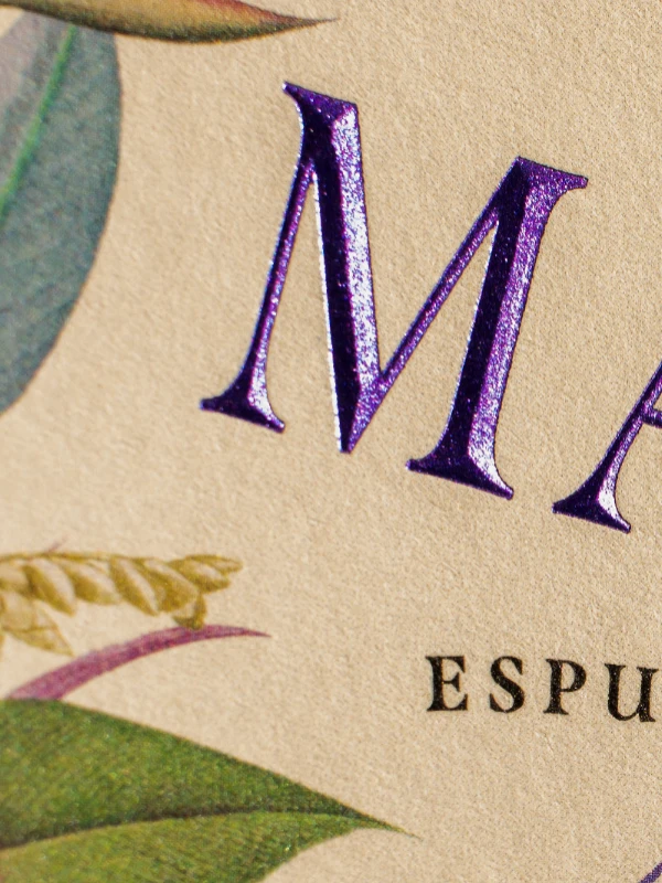 Banner 02