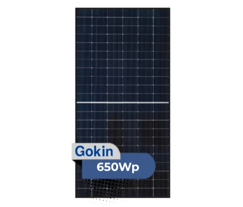 Módulo Gokin Bifacial